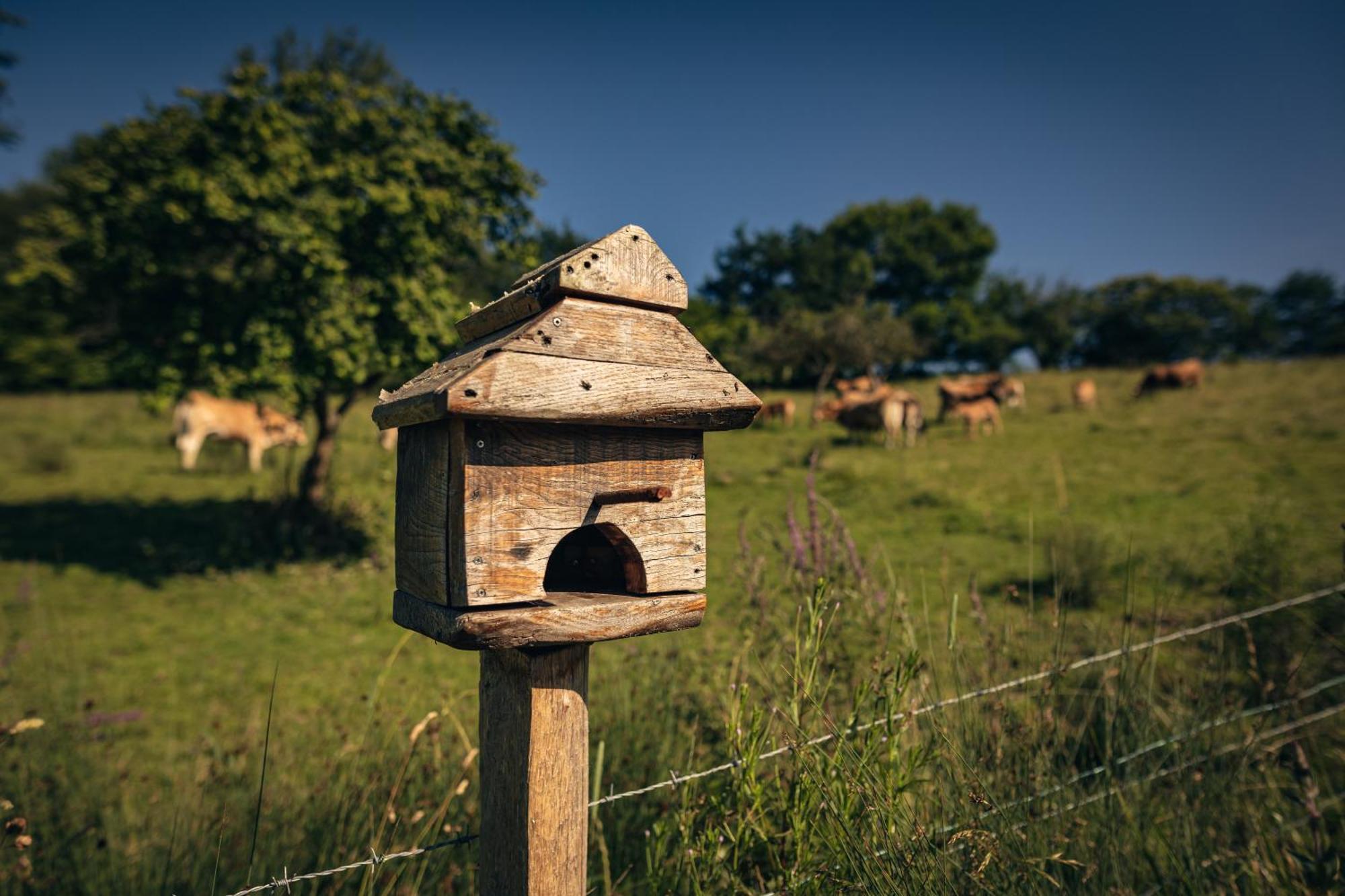 Finca La Naguada Casa Rural En Asturias Beloncio 외부 사진