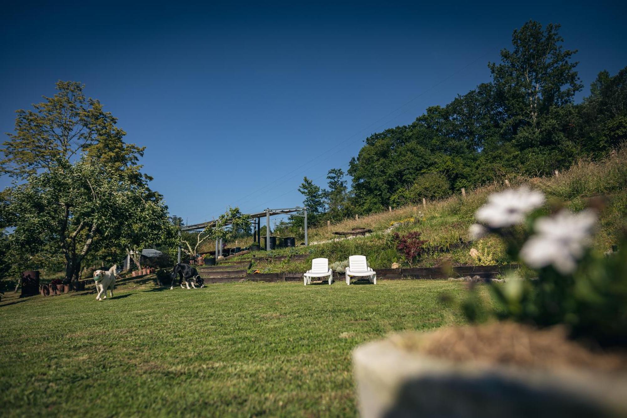 Finca La Naguada Casa Rural En Asturias Beloncio 외부 사진