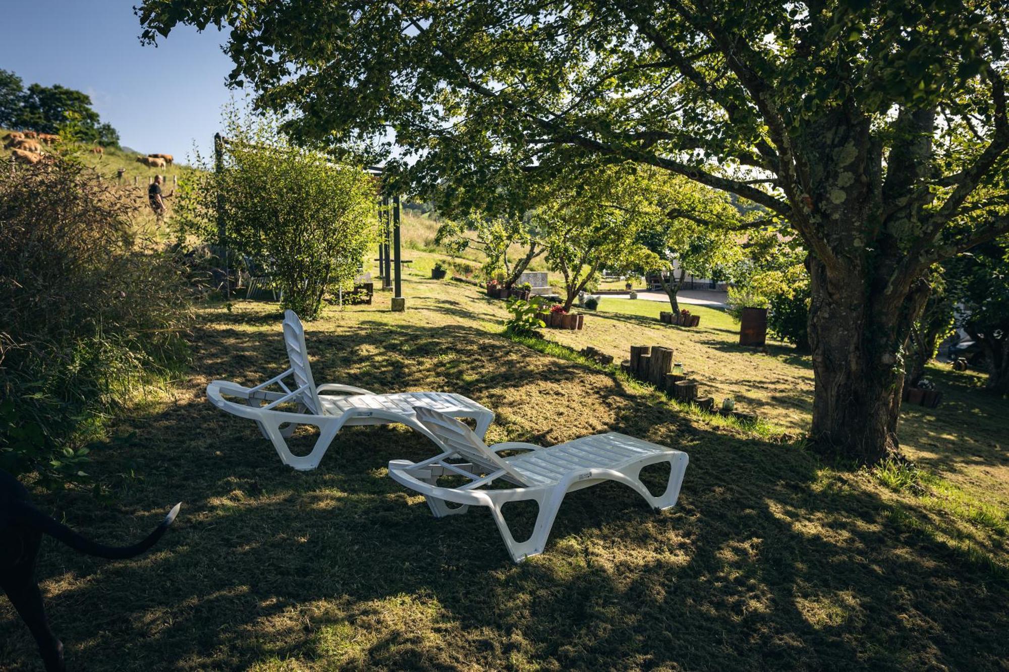 Finca La Naguada Casa Rural En Asturias Beloncio 외부 사진