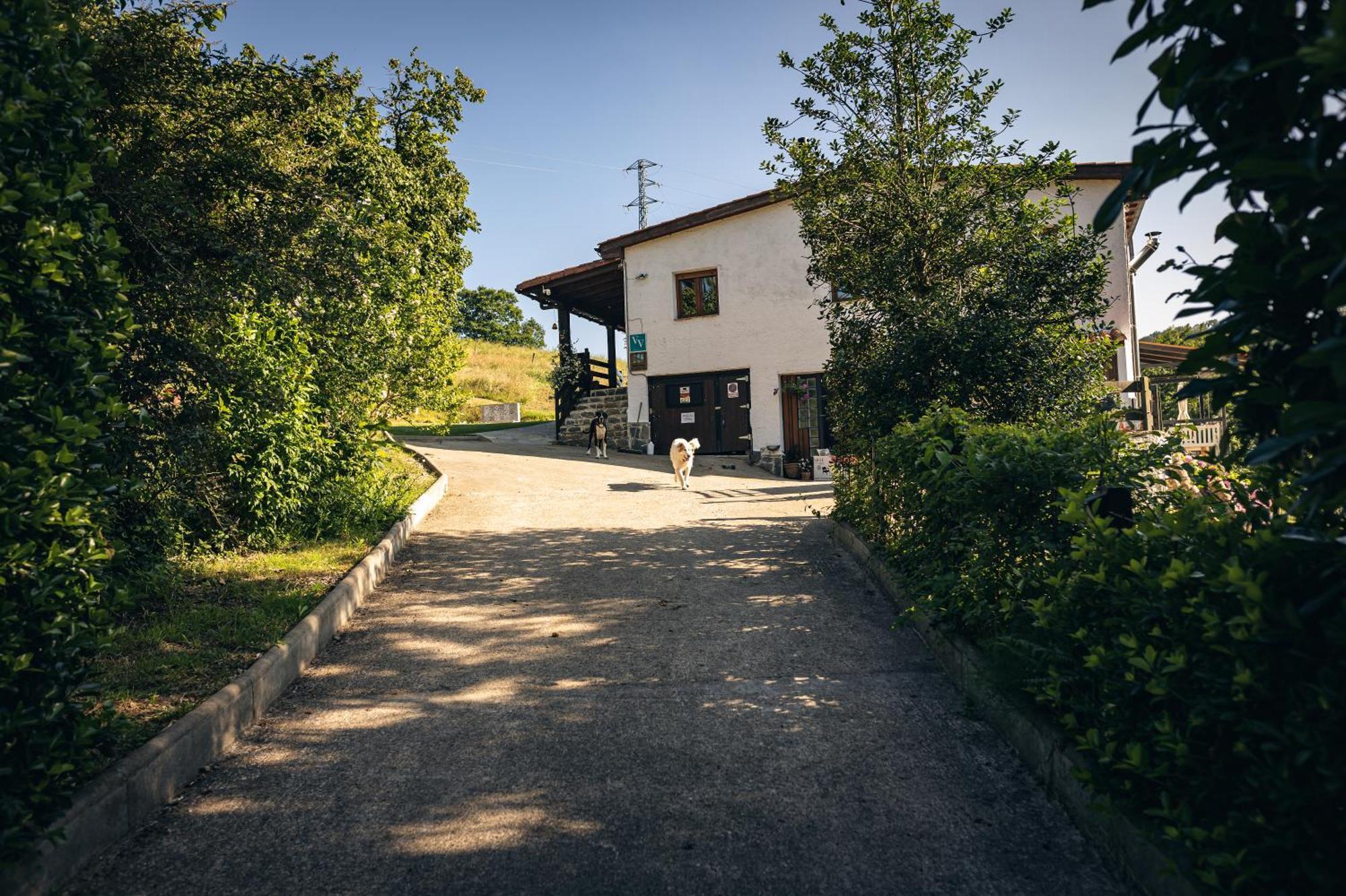 Finca La Naguada Casa Rural En Asturias Beloncio 외부 사진