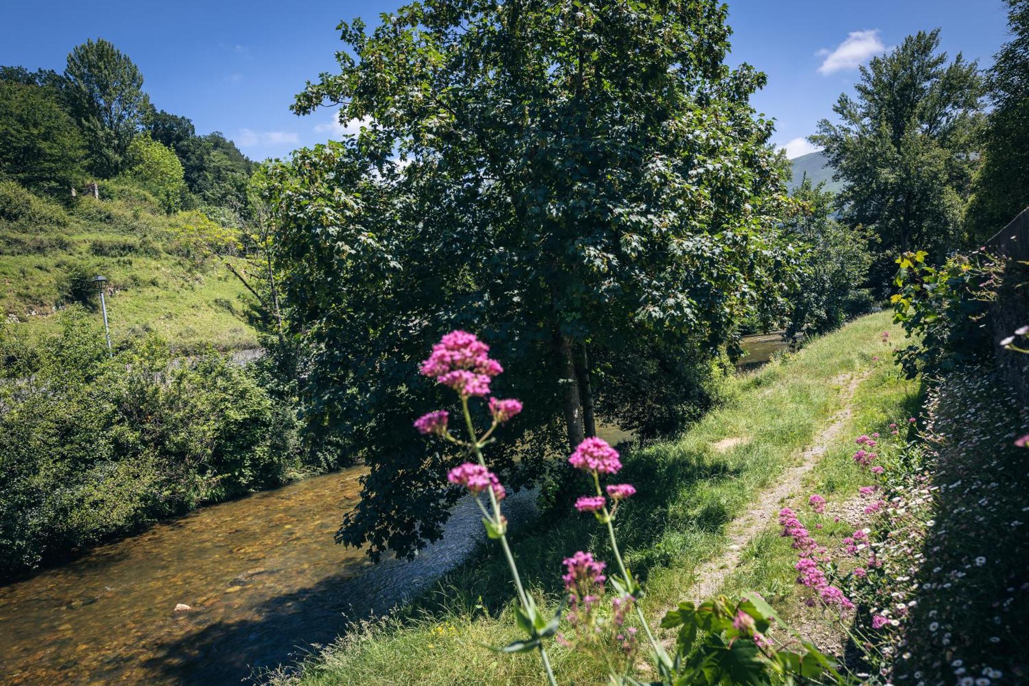 Finca La Naguada Casa Rural En Asturias Beloncio 외부 사진